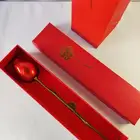 اكسسوارات ماركات هاي كوالتي وماستر كوالتي