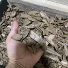 كيلو مروكي طبيعي نقوه غابات اصقون الحجم الذهبي دبل سوبر