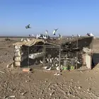 حمام مشكل اغلبه فرنسي سوبر جامبو