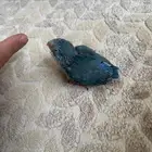 ميني روز بارتوليت