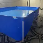 مسبح كبير