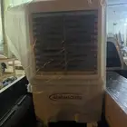 صحراوي للبيع