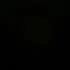 معلم مصري في التقليم وتركيب الحاذاوي