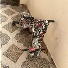 سكوتر للبيع