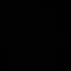 قطوه سكوتش ستريت للتبني