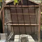 بيع قفص كبير لطيور الزينه