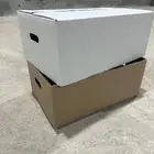 كراتين تمر 20 كيلو للبيع كميه جديده معها اكياس تغليف تمر