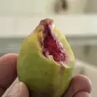 لوز بجري في جده فاكهة الطيبين