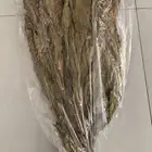 للبيع تتن
