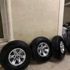 جنوط فتك اصلية