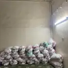 حشف مخلوط بتمر