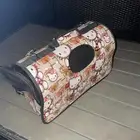 بيع احتياجات قطط