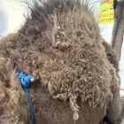 حاشي لباني شرط وتحدي طريق الرياض مجعل راس صلا