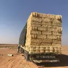 للبيع اكوام تبن سنه23 وسنه24 لايجي الا الصامل بيع جملة
