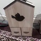 منضفا اكل طيور