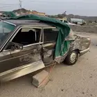 بيشه ترج