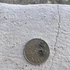 نصف ريال الملك فهد (رحمه الله)