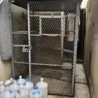شبك طيور للبيع
