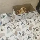خبز ناشف لحلال إلا عنده ومحتاجه يتواصل معي