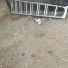 سلم ألمنيوم بحالة ممتازة