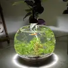 احواض نهرية احترافية بتصميم انيق