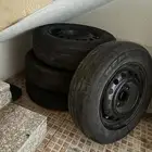 جنوط النترا