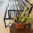 جلسة حديد شعبية مباع