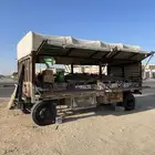 قلص دينا