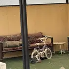 جلسه عدد ثنين كراسي   ثيل صناعي