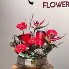 مق هاف مليون الأحمر