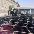 تيوس مخصاه