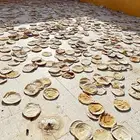 خبز ناشف للحلال