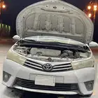 كورلا جنوط بصمه للبيع