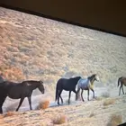 شاشه 55 بوصه 4K دانسات