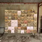 للبيع خلايا نحل فاضية