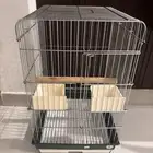 قفص طيور للبيع