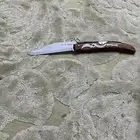 ردادي على الشرط