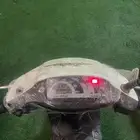 دباب بطة سعره مناسب