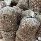 تمر برحي