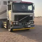 راس فلفو