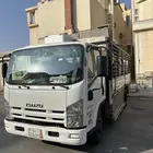 دينه محايل بارق العرضيه