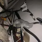 سيكل نظيف يبغاله كفر و لستك