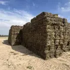قريه العلياء