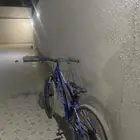 سيكل للبيع