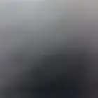 كوكاتو قالا تبني