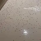 Top creat and microcement that we can put on the ground and