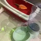 مستلزمات قطط استخدام يومين