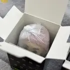 فيقر فالكونز