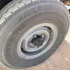 جنوط شنبر