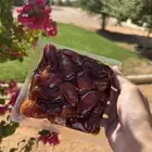 تمر خلاص اشيقر جامبو